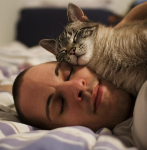Sleeping with cat